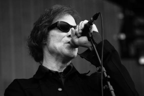 Mark Lanegan - Main Square Festival 2017