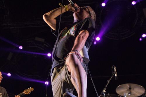 Descendents - Hellfest 2019