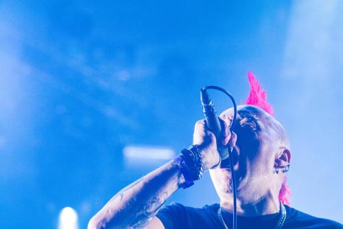 The Exploited - Hellfest