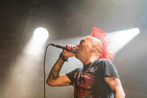 The Exploited - Hellfest