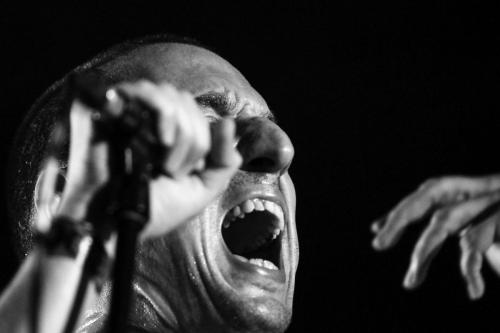 Fat White Family - La Route Du Rock 2022