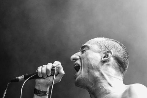 Fat White Family - La Route Du Rock 2022