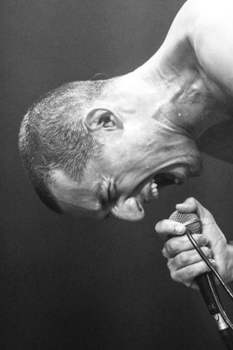 Fat White Family - La Route Du Rock 2022