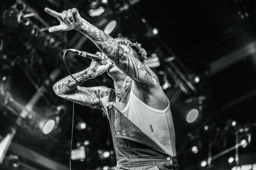 Stray From The Path - Hellfest