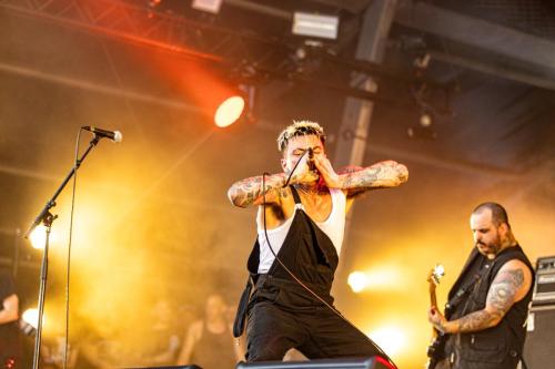 Stray From The Path - Hellfest