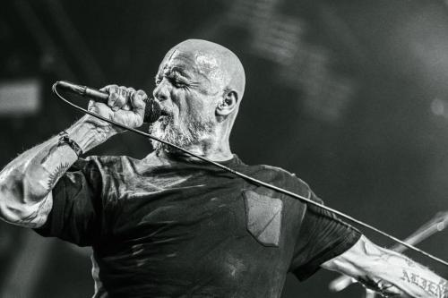 Black Flag - Hellfest