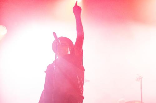 Treponem Pal - Hellfest