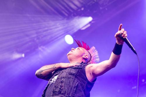The Casualties - Hellfest 2024