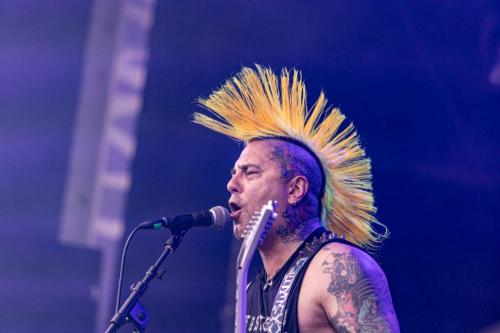 The Casualties - Hellfest 2024