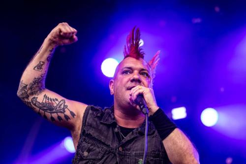 The Casualties - Hellfest 2024