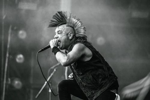 The Casualties - Hellfest 2024