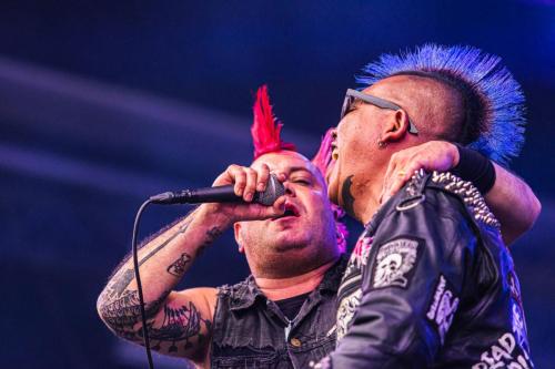 The Casualties - Hellfest 2024
