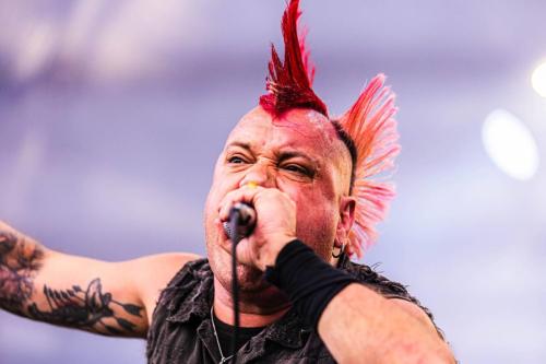 The Casualties - Hellfest 2024