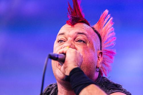 The Casualties - Hellfest 2024