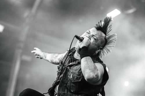 The Casualties - Hellfest 2024