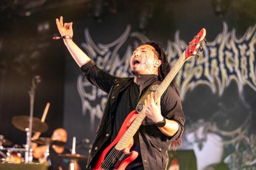 Brand Of Sacrifice - Hellfest 2024