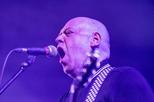 Cock Sparrer - Hellfest 2024