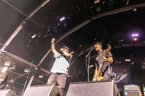 Street Dogs - Hellfest 2025