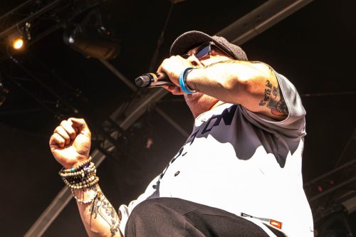 Street Dogs - Hellfest 2025