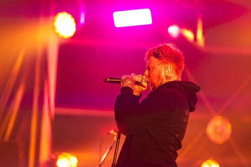 Sex Pistols & Frank Carter- Hellfest 2025