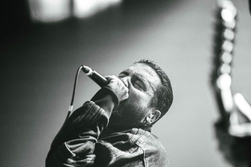 Graphic Nature - Elysée Montmartre